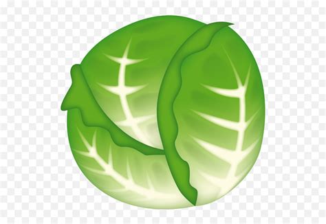 Cabbage Emoji Copy And Paste