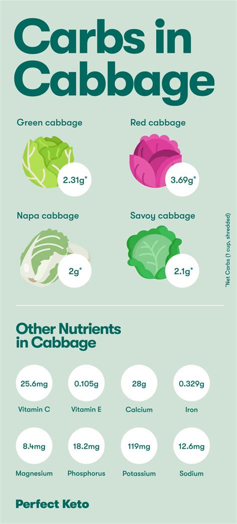 Cabbage Have Carbs