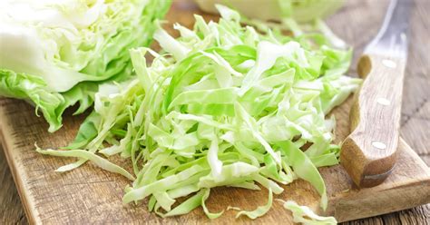 Cabbage In Spanish Wordreference