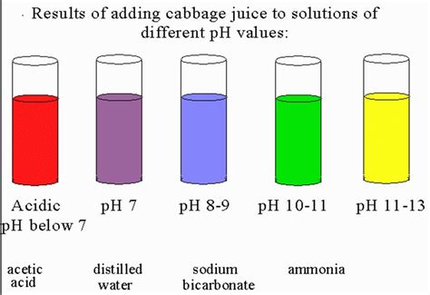 Cabbage Juice Indicator Solutions Can Show Ph Values From Acidic To Basic
