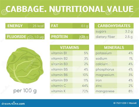 Cabbage Leaf Calories