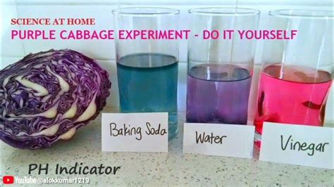 Cabbage Lemon Experiment