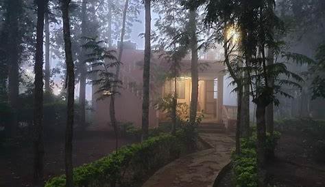 Cabin In The Woods Yelagiri THE 10 BEST Homestay Cottages Of 2023