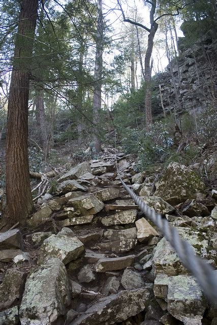 Cable Trail Hike at Fall Creek Falls State ParkDecember 17, 2019 Deer Creek Properties