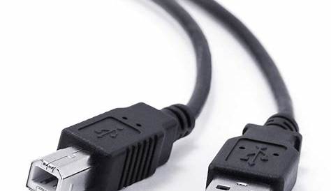 Valueline Câble USBC mâle vers USBA Femelle (0.15 m