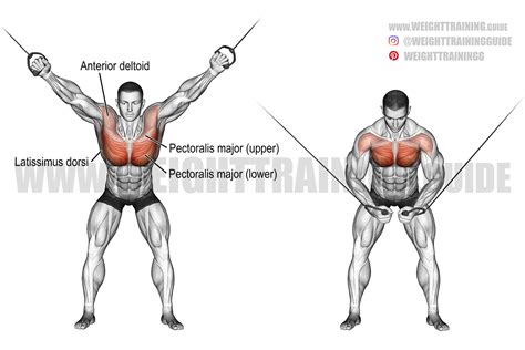 Cable Crossover Upper Pulley