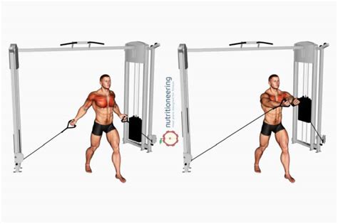 Cable Exercises For Upper Chest