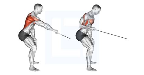 Cable Inverted Row