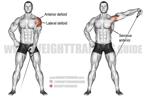 Cable Lateral Raise Pain