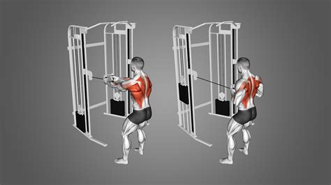 Cable Machine Alternative