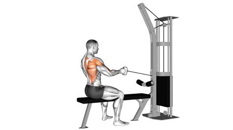 Cable Machine Back Extension