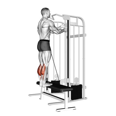 Cable Machine Calf Raise