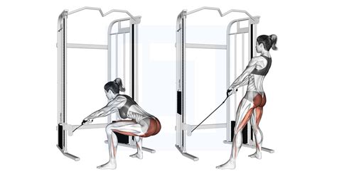 Cable Machine Hip Thrust