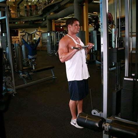 Cable Reverse Curls Forearms