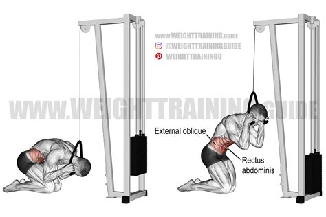 Cable Rope Crunches