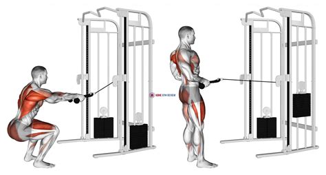 Cable Rope Squat To Row