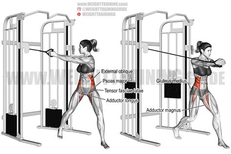 Cable Twist Exercise
