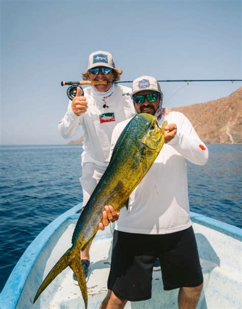 cabo fly fishing