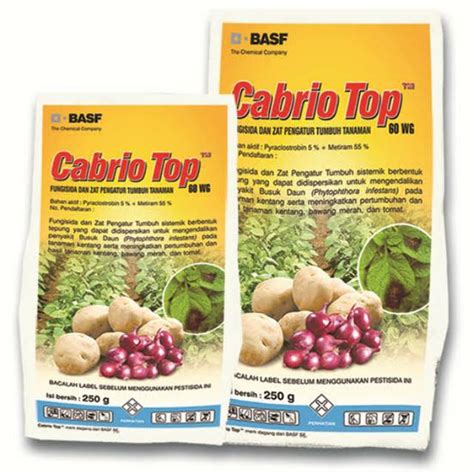 Fungicid CABRIO TOP AGROboom.ro