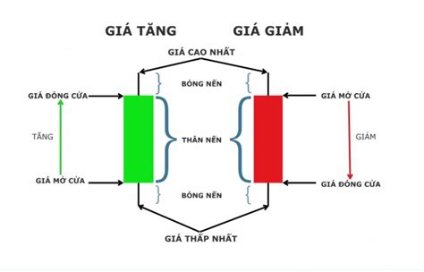 cac loai nen nhat