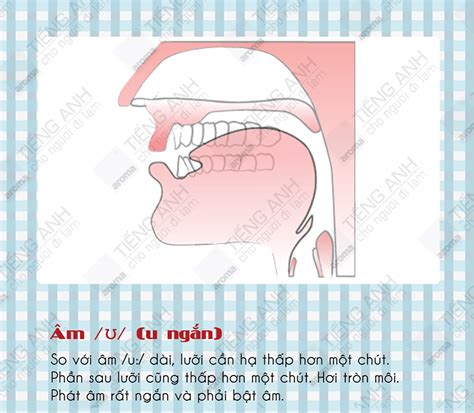 cac nguyen am trong tieng anh