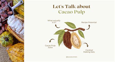 Cacao Fruit Pulp