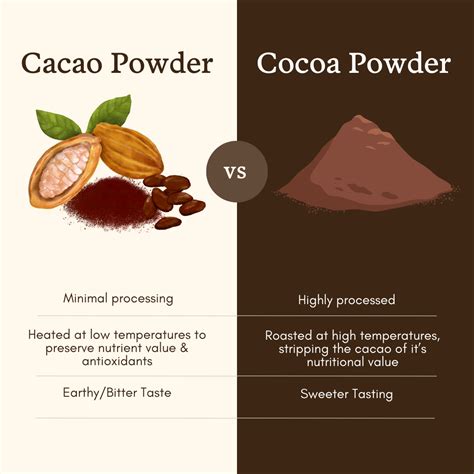 Cacao vs Cocoa What