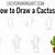 cactus drawing step by step