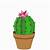 cactus flower how to draw a cactus