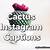 cactus instagram captions