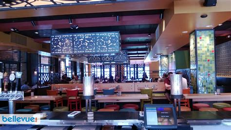 Discover the Uncommon Beauty of Cacti in Bellevue: A Succulent Exploration