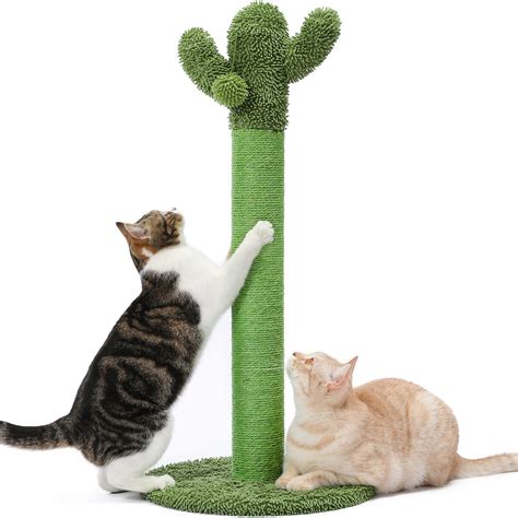 cactus cat scratcher