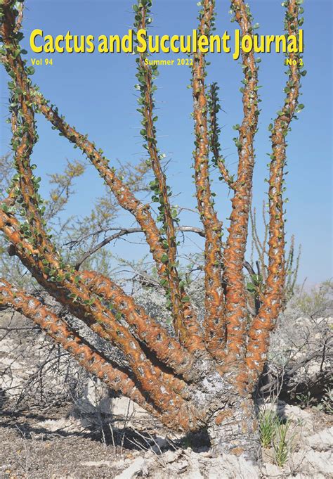 Cactus Succulent Journal