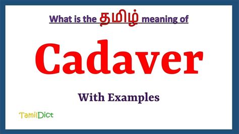 Body Parts Tamil Learn Hindi From Tamil For Android Apk Download