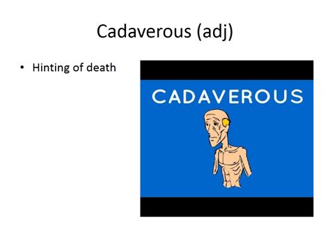 Cadaver definition Cadaver meaning words to describe someone