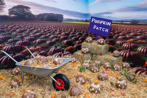 Discover Cadbury World's Halloween Pumpkin Patch Adventure