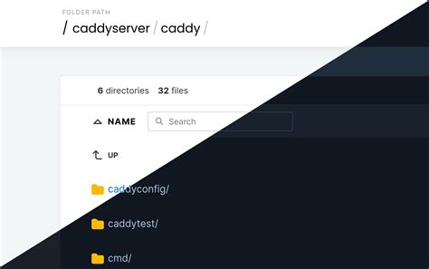 Caddy File Server Example