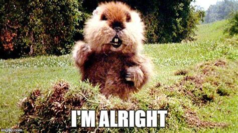Caddyshack Gopher Meme