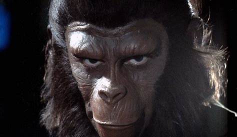 Caesar Planet Of The Apes Original 'Rise ' On A Different