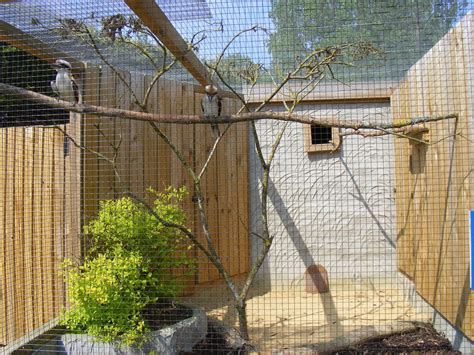 Cage Screen Enclosure