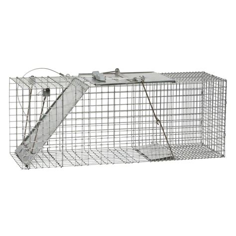 Cage To Trap Groundhog