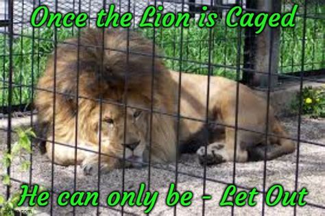 Caged Animal Meme