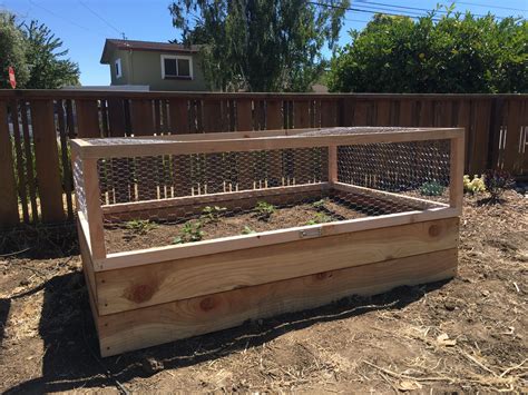 cages for raised garden beds
