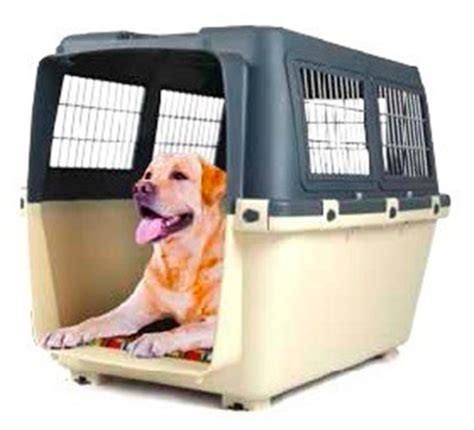 caixa transporte cachorro grande