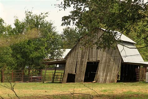 Cajun Barn Photograph by Ronald Olivier Fine Art America