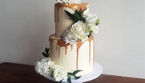 Cake Decorating Shop Christchurch 5 Best s In 磊