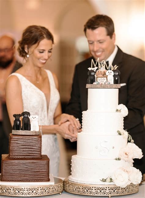 30+ Cake Cutting Wedding