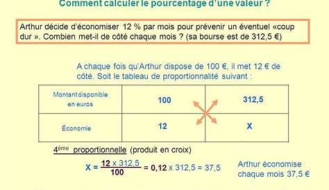 Calculer des pourcentages - Maelynn.fr