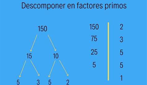Calculadora de descomposición factorial | Teoria de numeros, Números