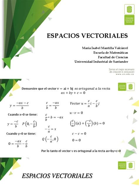 Calculadora De Espacios Vectoriales Animal